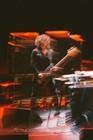 Swans