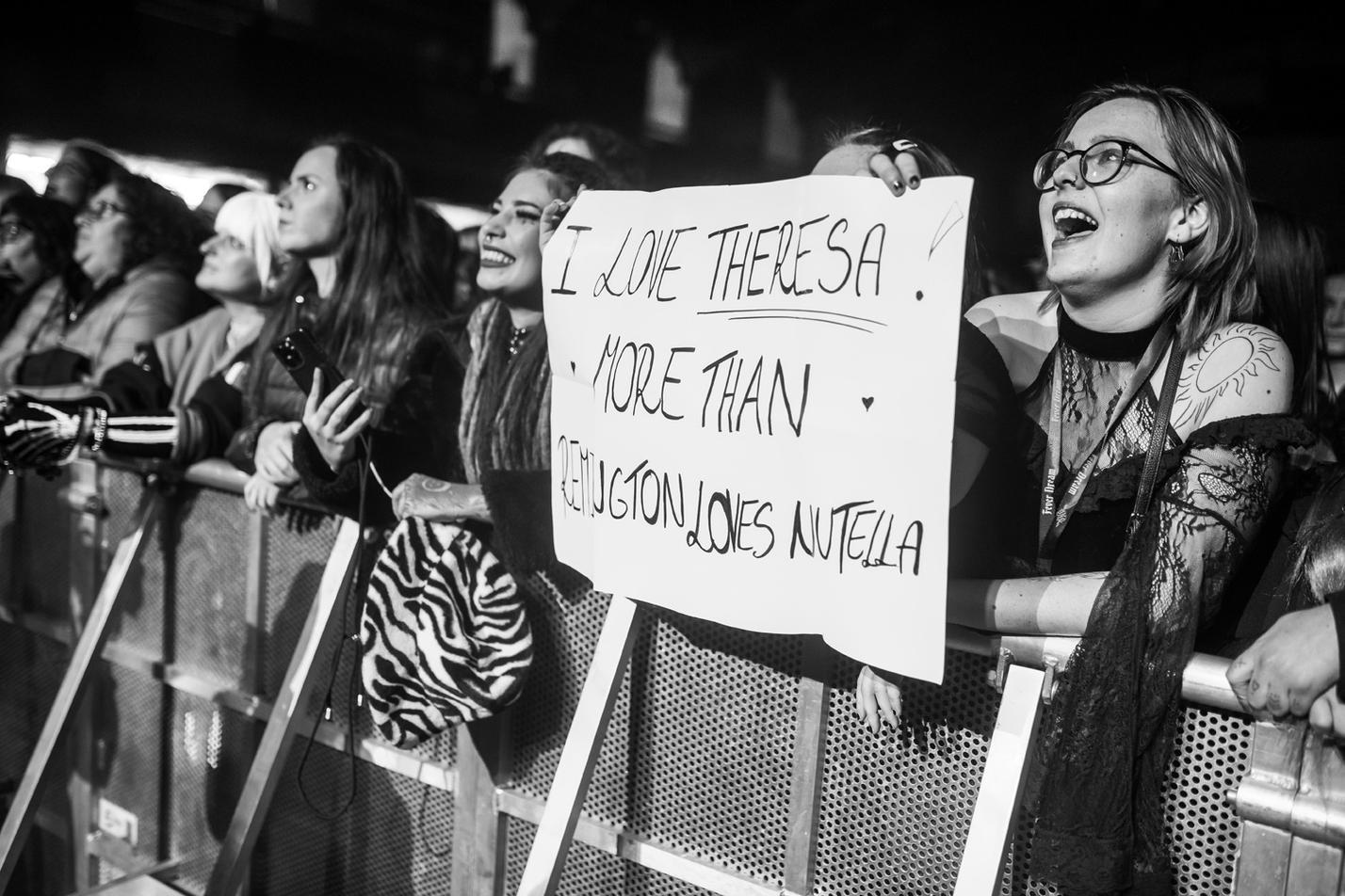 Fans (7)