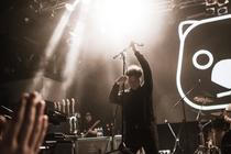 TheWombats3