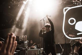TheWombats3