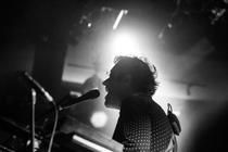 TheWombats4