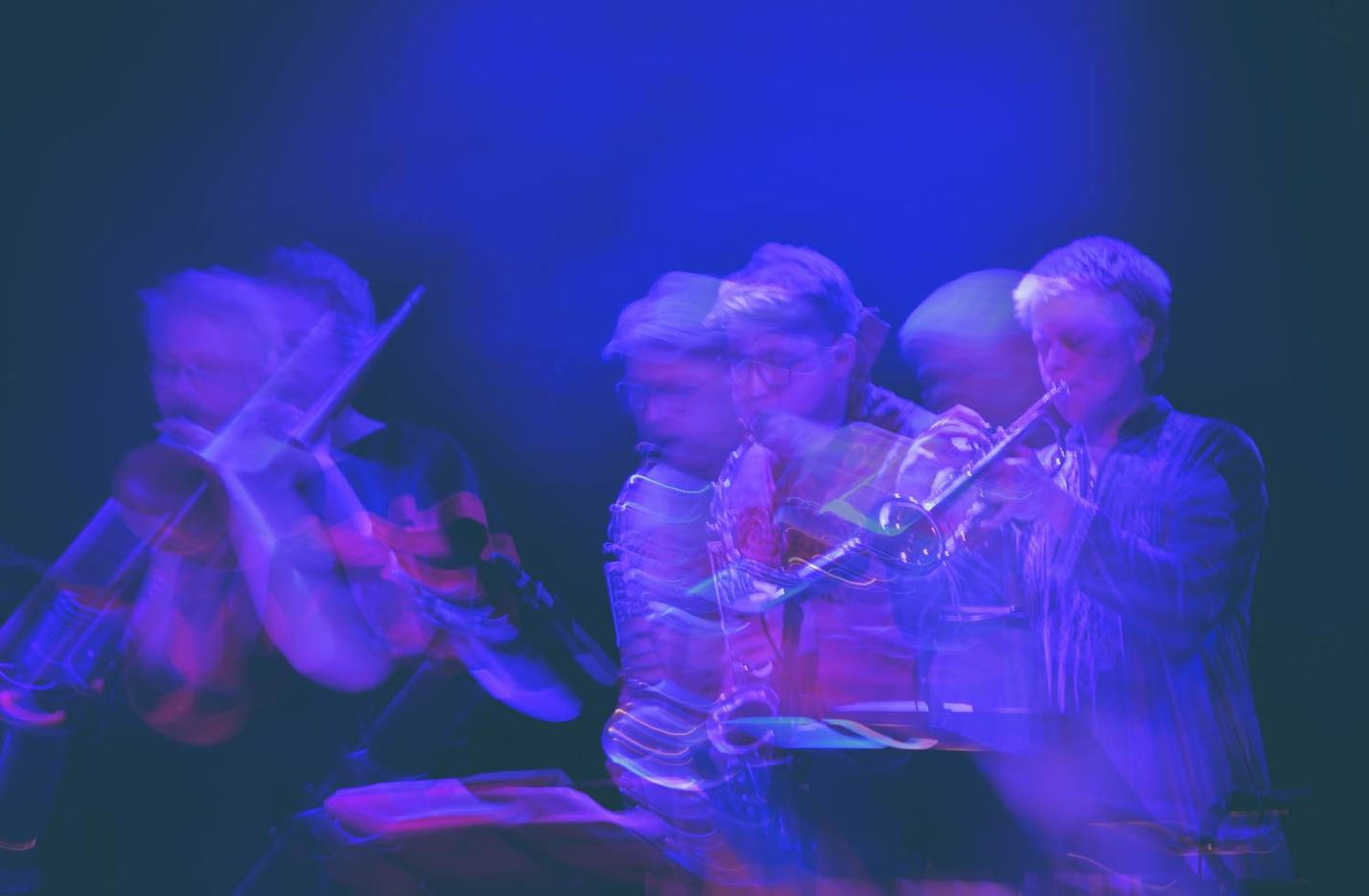 JGTT Horse Orchestra 4