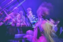 JGTT Horse Orchestra 6