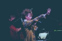 JGTT Horse Orchestra 5