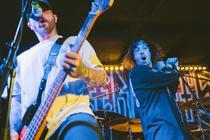 Cancer Bats