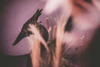 08_ALCEST