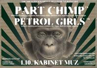 part_chimp kopie