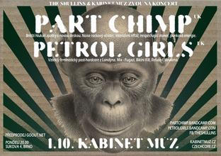 part_chimp kopie