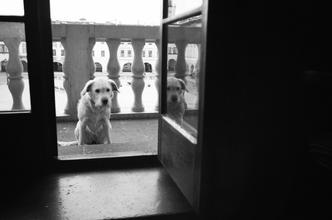 03_novy_jicin_luna-67990017