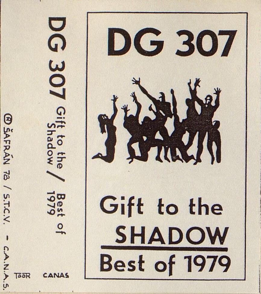 dg307-darsinums