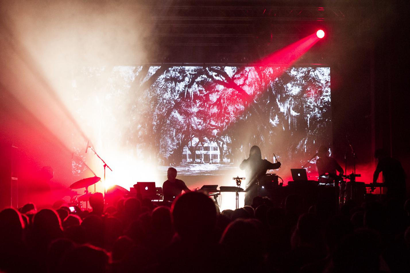 19_Ulver_Donau_2017_1