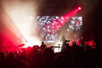 19_Ulver_Donau_2017_1