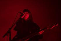 02_ellie_dandelion