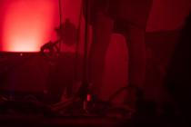 06_ellie_dandelion