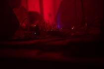 05_ellie_dandelion