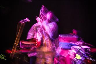 04_Please_The_Trees_10_11_2015_Kabinet_Muz_Brno