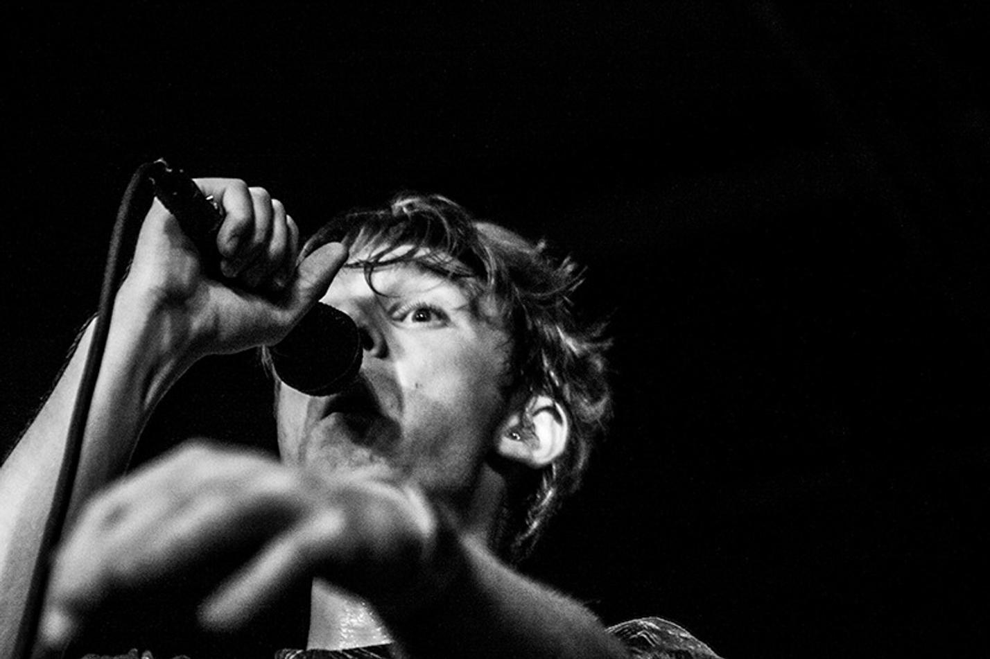 36 glass animals