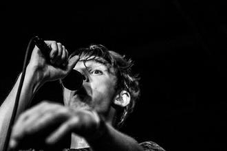 36 glass animals