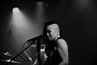 12-Year Of The Cobra