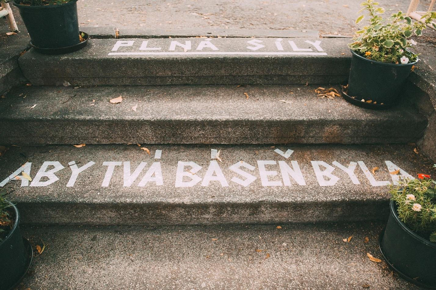 Festival Vivat vila
