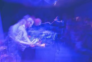 Thistle 3