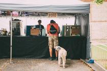 Festival Vivat vila