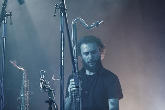 Mammal Hands 8
