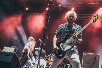 Marmozets 2