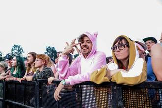 The Vaccines 2