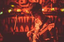 Gurriers (20)