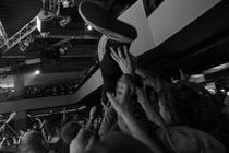 red fang (1 of 1)-7