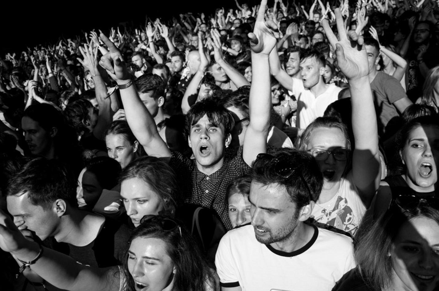 foals+ (1 of 1)