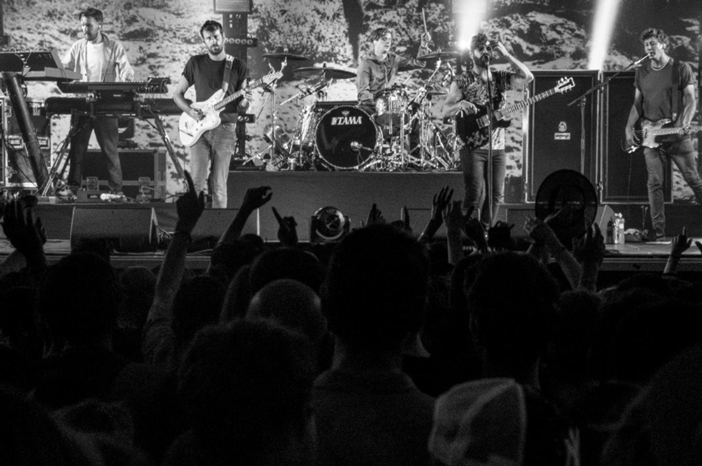 foals+ (1 of 8)