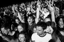 foals+ (1 of 1)