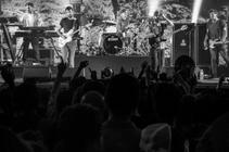 foals+ (1 of 8)