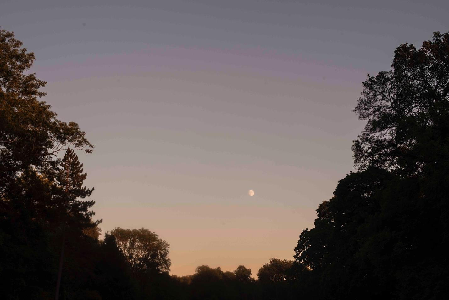 11_moody_moon_noize
