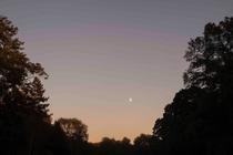 11_moody_moon_noize