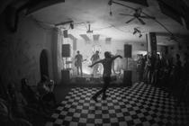 Livelike (4)