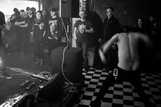 Livelike (3)