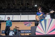 silver spoons (4)