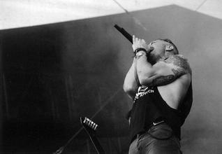 brutalassault2015-petrov-04