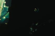 oscillation_4