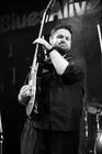 23-blues-alive-04-welch-ledbetter-conncetion
