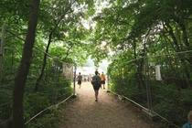 Atmosfera4 (1)