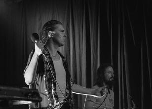 alex cameron-13