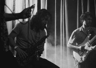 alex cameron-6