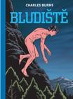 bludiste_2