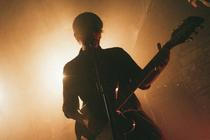 Birds in Row