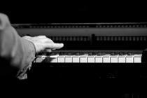 017houtkampberesfordblume-trio