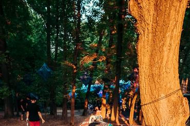 02_Fest Fetival